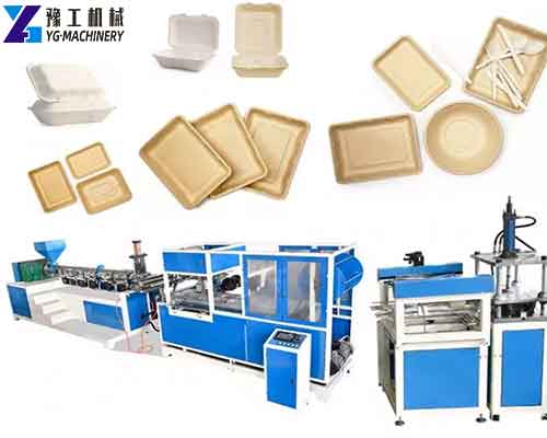 Plastic Thermoforming Machine  Thermoforming Machine Price YG