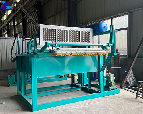 egg tray manufacturing plant cost