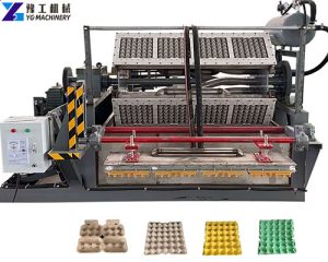 Egg Tray Machine Price | Fully Automatic Egg Tray Production Line