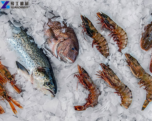 flake ice machine for fish