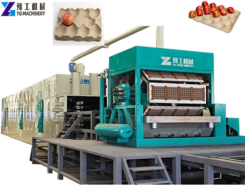 apple tray making machine