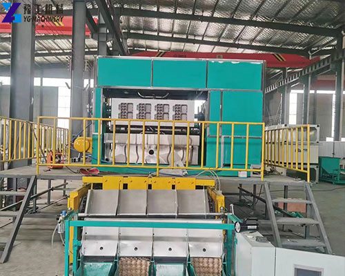 fruit tray making machine