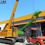 mini crawler crane for sale